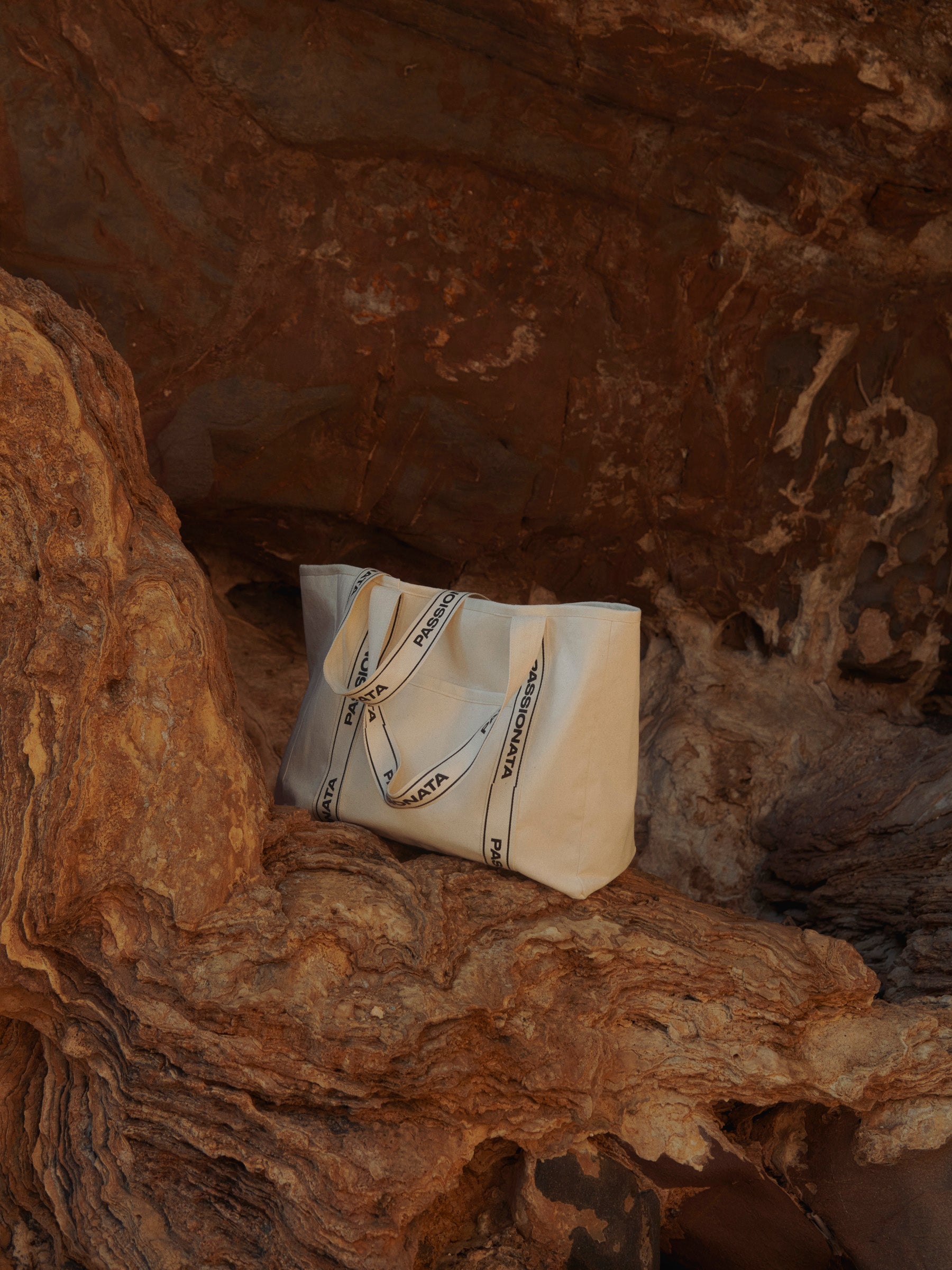 s/files/1/0855/3857/0537/files/0TB15_0092_S2.jpg?v=1766389889